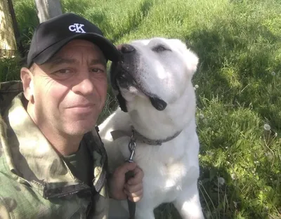 В Мурманской области участились обращения после укусов собак |  Информационное агентство «Би-порт»