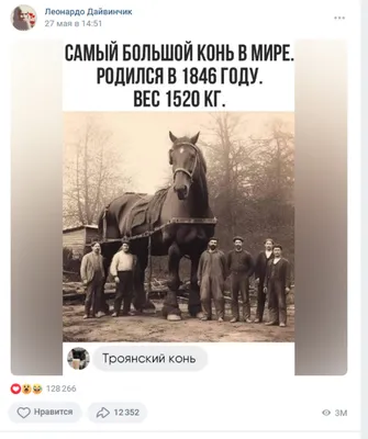 Включи Как выглядит Весенняя лошадь» — создано в Шедевруме