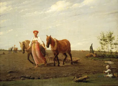 Промеры, вес, индексы и кондиции лошадей