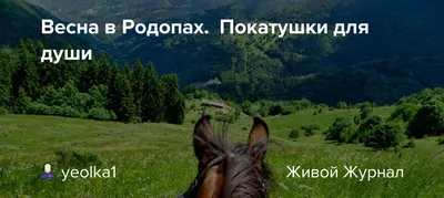 Брошь \"Весна\" голова лошади. Лошадь. Конь купить на Ярмарках. Купить  изделие ручной работы (хенд мейд) в Украине. | Брошь-булавка, Киев.