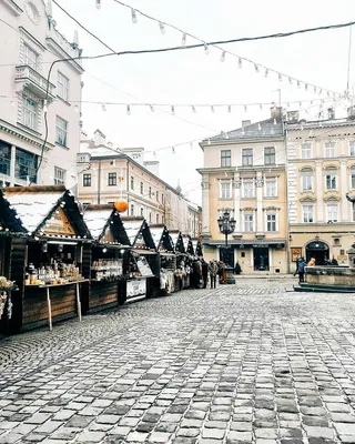 Зимний Львов: в сети появились яркие фото города | Летний пейзаж, Город,  Пейзажи