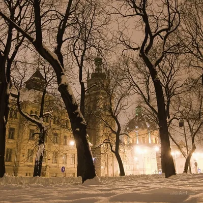 Зимний вечерний Львов с горы Лева