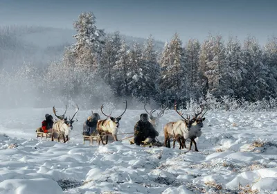 Лучшие фотографии Магадана за неделю | MagadanMedia.ru — Магадан и Колыма |  Дзен