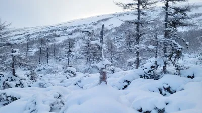 В Магадане -16, -13°C, небольшая облачность | Магаданская Правда