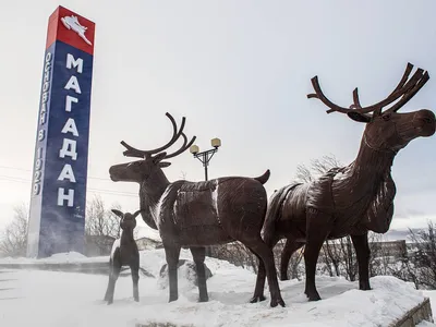 В Магадане -1, -5°C, сильный снег | 04.11.2023 | Магадан - БезФормата