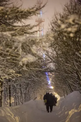 В Магадане -9, -12°C, сильный снег, ветер | 12.12.2023 | Магадан -  БезФормата