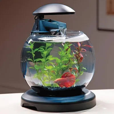 Маленький Террариум для аквариумов, Настольная мини-аквариума для домашнего  использования, аквариум для рыб в гостиной, товары для домашних животных  QF50YG | AliExpress