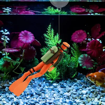 Плавающее дно аквариума: быть или не быть? | Официальный сайт производителя  аквариумов ССБ-аква