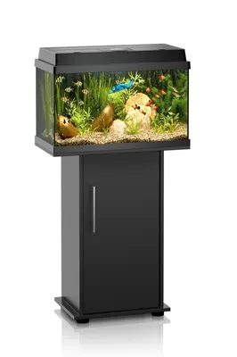 Маленький настольный мини-аквариум для гидропоники для выращивания почвы  растений аквариум для рыб аксессуары для золотой рыбки дерьмо для офиса  гостиной комнаты | AliExpress