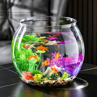 Прозрачный пластиковый мини-аквариум, Небьющийся маленький аквариум, 2  размера без заусенцев, многофункциональный для украшения дома, стола |  AliExpress