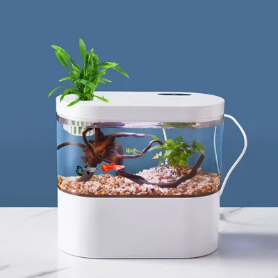 Маленький аквариум с черепахой, …» — создано в Шедевруме