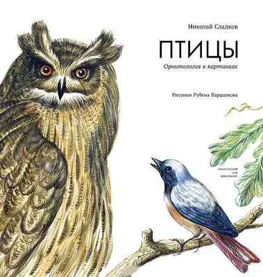 Padovan GrandMix Esotici корм для маленьких экзотических птиц купить в  Киеве по цене 130 ₴ в Украине – Zootovary.com