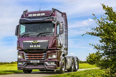 Crowning Glory - MAN TGX 26.640 Individual Lion S strikes a pose for NJI  Transport Ltd.