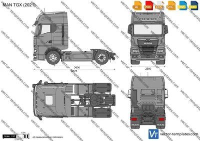 White Truck Man TGX with Black Plastic Bumper. Stock Photo - Illustration  of black, industry: 224639346