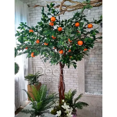 Искусственные мандариновые деревья – часть экзотики в вашем интерьере |  Treez Collection