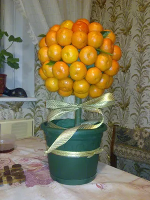 Миниатюрное мандариновое дерево, полезные многоразовые Экологически чистые  аксессуары для кукольного домика, модель оранжевого дерева, миниатюрное мандариновое  дерево | AliExpress
