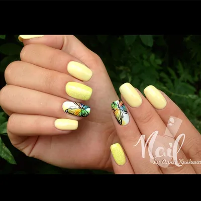 Nails butterfly маникюр с бабочками чёрно-белый | Nails, Christmas nails,  Nail designs