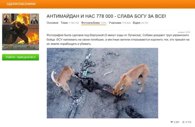 В парке возле детского центра в Одессе нашли труп собаки (ФОТО, ВИДЕО 18+)