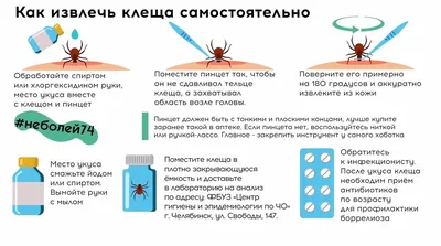 Укус клеща, как уберечься от клещей, симптомы после укуса