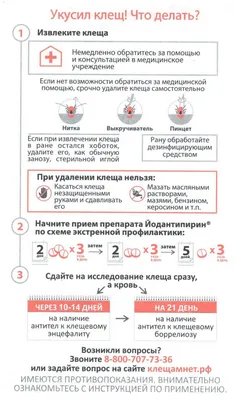 Укус клеща, как уберечься от клещей, симптомы после укуса