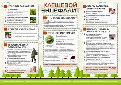 Укусил клещ - Милосердие.ru