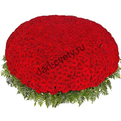 Букет «Миллион алых роз» - купить по выгодной цене в Нижнем Новгороде