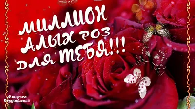 ❏ Mиллион Алых Роз... ❏___ ~ Открытка (плейкаст)