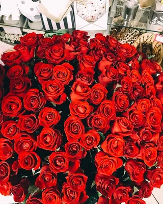 🆅🅴🆁🅰 💎 в Instagram: «Миллион миллион миллион алых роз 😍🥰» | Цветы,  Розы