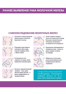 ≡ УЗИ молочных желез ≻ УЗИ грудных желез в Киеве ≻ цена диагностики груди в  клинике Доброго Доктора