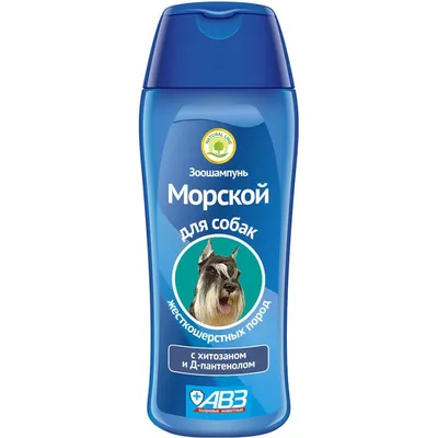 Что говорят собаки о морской воде. Это вредно или полезно. | ШАРИКОВ П.П. |  Дзен