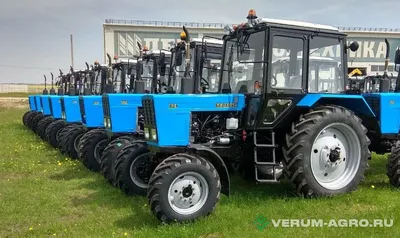 Трактор МТЗ 82.1: 340 000 грн. - Трактор сельскохозяйственный  Новопетровское на Olx