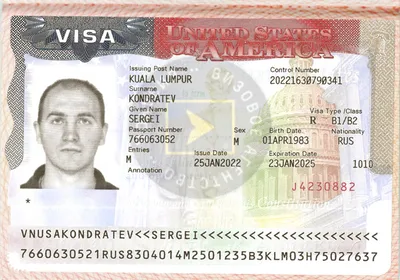 Американская виза: как она выглядит и где указан ее номер? | Все о Визах |  Дзен