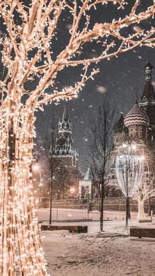 зима#2022 | Фоновые рисунки, Зимние картинки, Живописные фотографии
