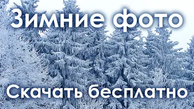 Первый день зимы: Лучшие открытки, картинки, фото - Афиша bigmir)net