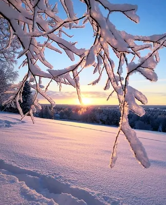 Фото на аву природа зима фотографии