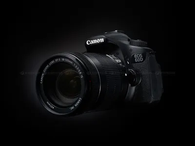 Canon EOS 60D DSLR announced and previewed: Digital Photography Review