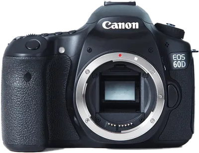 File:Canon 60D Rear View.jpg - Wikipedia