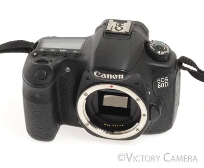 Canon EOS 60D sample photo - v77WL5js8n - ExploreCams