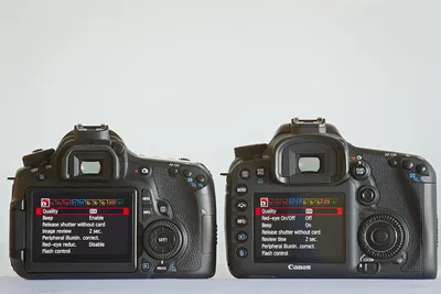 5 Best Lenses for Canon 60D in 2024