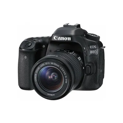 Canon 80D DSLR Camera (Used) – Kolari Vision