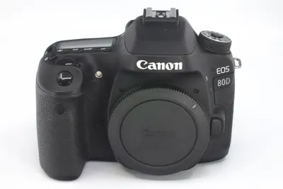 Canon EOS 80D With Canon EF 24-105mm IS Lens. With Battery, 128gb, Backpack  | eBay