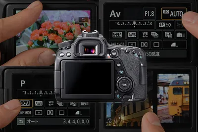 The EOS 80D Touch-screen and 5 Convenient Things You Can Do With It