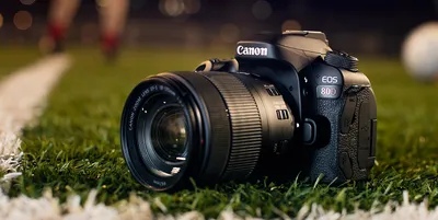 What are the Best Lenses for Canon 80D Users? - ALC