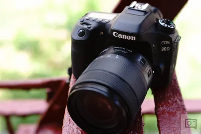 Canon 80D Camera Review: Great for Advanced Photographers