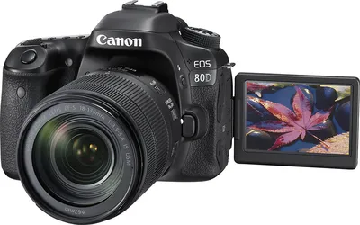 Review: Canon 80D