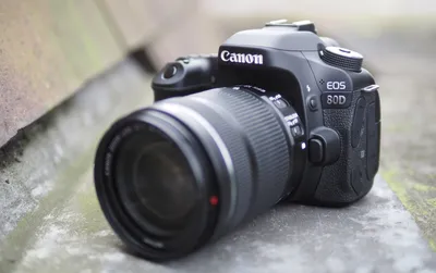 Camera Review: Canon 80D vs. Canon 90D - Forbes Vetted