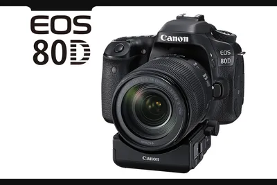 Canon EOS 80D (W) DSLR Camera Body {24.2MP} at KEH Camera