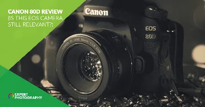 Canon EOS 80D 24.2MP DSLR Camera Body w/ 18-55mm f3.5-5.6 EFS Lens