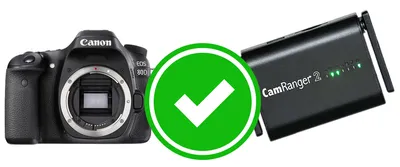 Camerarace | Canon EOS 80D - Review and technical sheet