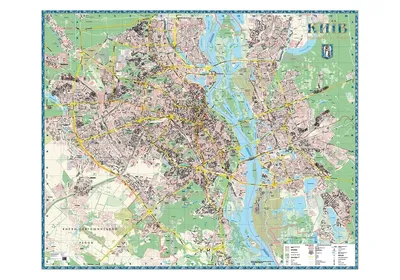 США получили рекордное число заявок россиян на грин-карту | Forbes.ru